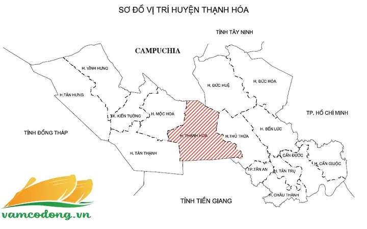 Thông Tin Tổng Quan Và Cập Nhật Về Huyện Thạnh Hóa, Tỉnh Long An Thông Tin Tổng Quan Và Cập Nhật Về Huyện Thạnh Hóa, Tỉnh Long An