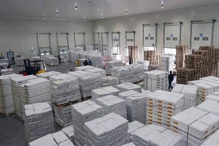 Kho Lạnh Quang Minh Hà Nội: Thông Tin Dịch Vụ Và Địa Chỉ Liên Hệ Chi Tiết Kho Lạnh Quang Minh Hà Nội: Thông Tin Dịch Vụ Và Địa Chỉ Liên Hệ Chi Tiết