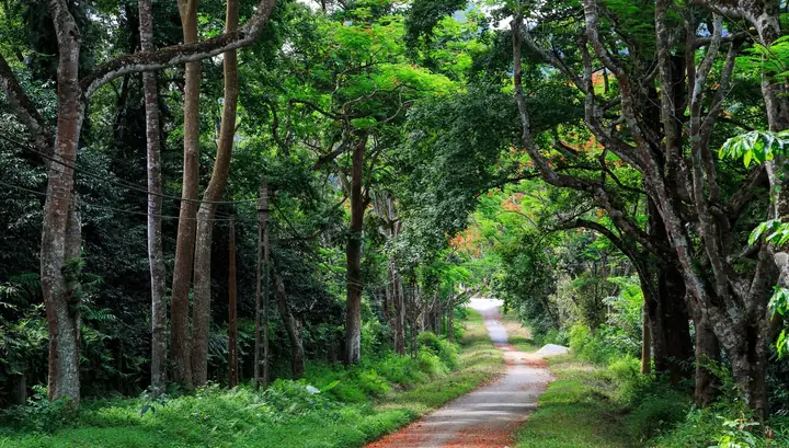 Kinh Nghiệm Du Lịch Cúc Phương 2 Ngày 1 Đêm: Hướng Dẫn Chi Tiết Từ A‑z Kinh Nghiệm Du Lịch Cúc Phương 2 Ngày 1 Đêm: Hướng Dẫn Chi Tiết Từ A‑z