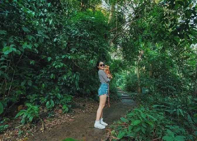 Kinh Nghiệm Du Lịch Cúc Phương 2 Ngày 1 Đêm: Hướng Dẫn Chi Tiết Từ A‑z Kinh Nghiệm Du Lịch Cúc Phương 2 Ngày 1 Đêm: Hướng Dẫn Chi Tiết Từ A‑z