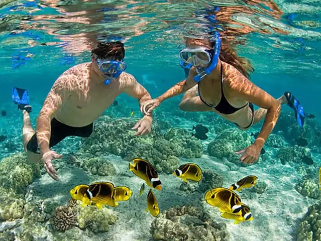 Kinh Nghiệm Lặn Biển Nha Trang: Hướng Dẫn Chi Tiết Từ A‑z Cho Người Mới Kinh Nghiệm Lặn Biển Nha Trang: Hướng Dẫn Chi Tiết Từ A‑z Cho Người Mới