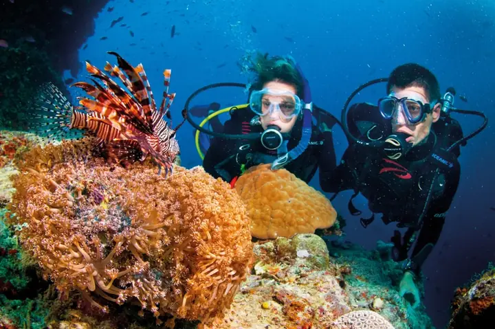 Kinh Nghiệm Lặn Biển Nha Trang: Hướng Dẫn Chi Tiết Từ A‑z Cho Người Mới Kinh Nghiệm Lặn Biển Nha Trang: Hướng Dẫn Chi Tiết Từ A‑z Cho Người Mới