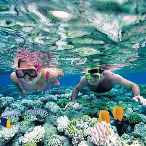 Kinh Nghiệm Lặn Biển Nha Trang: Hướng Dẫn Chi Tiết Từ A‑z Cho Người Mới Kinh Nghiệm Lặn Biển Nha Trang: Hướng Dẫn Chi Tiết Từ A‑z Cho Người Mới