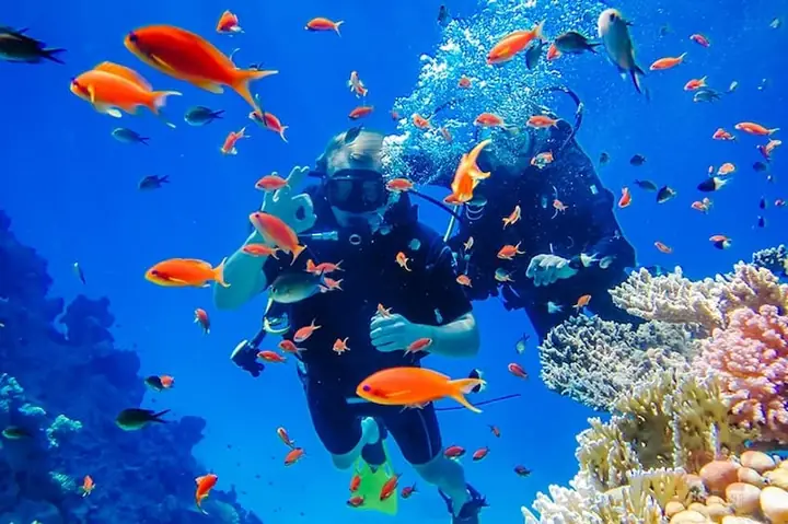 Kinh Nghiệm Lặn Biển Nha Trang: Hướng Dẫn Chi Tiết Từ A‑z Cho Người Mới Kinh Nghiệm Lặn Biển Nha Trang: Hướng Dẫn Chi Tiết Từ A‑z Cho Người Mới