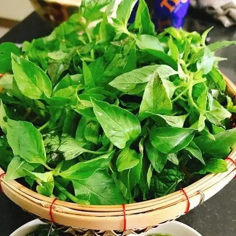 Mua Lá É Tươi Ở Đâu Tại Hà Nội? Địa Chỉ Uy Tín, Giá Tham Khảo & Mẹo Chọn Lựa Mua Lá É Tươi Ở Đâu Tại Hà Nội? Địa Chỉ Uy Tín, Giá Tham Khảo & Mẹo Chọn Lựa