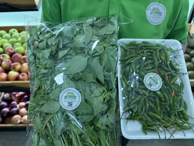 Mua Lá É Tươi Ở Đâu Tại Hà Nội? Địa Chỉ Uy Tín, Giá Tham Khảo & Mẹo Chọn Lựa Mua Lá É Tươi Ở Đâu Tại Hà Nội? Địa Chỉ Uy Tín, Giá Tham Khảo & Mẹo Chọn Lựa