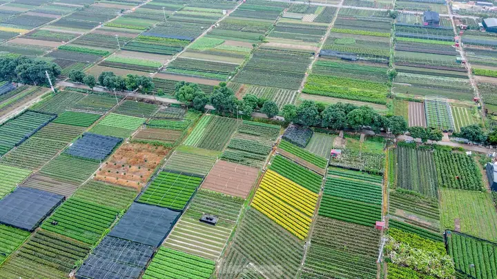Làng Hoa Mê Linh Ở Đâu? Địa Chỉ, Cách Đến Và Những Thông Tin Cần Biết Cho Du Khách Làng Hoa Mê Linh Ở Đâu? Địa Chỉ, Cách Đến Và Những Thông Tin Cần Biết Cho Du Khách