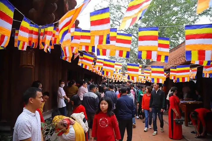 Lễ Hội Chùa Đậu Thường Tín 2026: Lịch Trình, Ý Nghĩa Và Hướng Dẫn Tham Gia