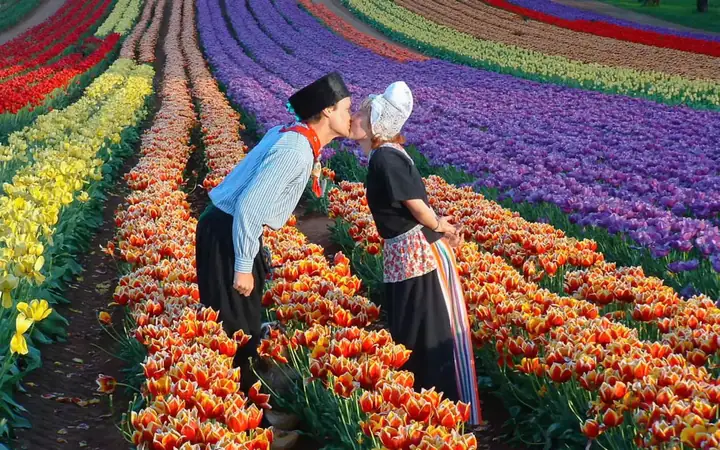 Lễ Hội Hoa Tulip Hà Lan 2026: Thời Gian, Địa Điểm, Cách Tham Quan Và Mẹo Du Lịch Lễ Hội Hoa Tulip Hà Lan 2026: Thời Gian, Địa Điểm, Cách Tham Quan Và Mẹo Du Lịch