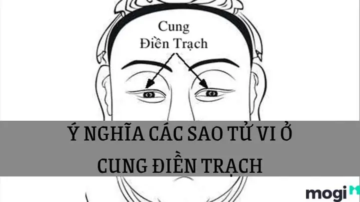 Ý Nghĩa Sao Lộc Tồn Tại Cung Điền Trạch: Tài Lộc, Nhà Cửa Và Khả Năng Tích Lũy Ý Nghĩa Sao Lộc Tồn Tại Cung Điền Trạch: Tài Lộc, Nhà Cửa Và Khả Năng Tích Lũy