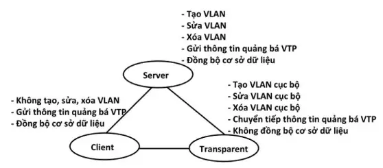 Lỗi Vtp Là Gì Và Các Trạng Thái Đơn Hàng Thường Gặp Tại Viettel Post