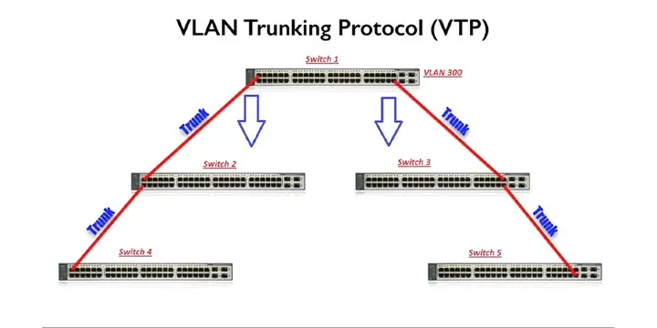 Lỗi Vtp Là Gì Và Các Trạng Thái Đơn Hàng Thường Gặp Tại Viettel Post
