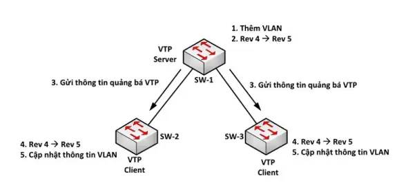Lỗi Vtp Là Gì Và Các Trạng Thái Đơn Hàng Thường Gặp Tại Viettel Post