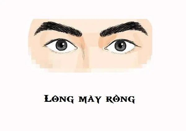 Lông Mày Tướng Làm Quan Lông Mày Tướng Làm Quan