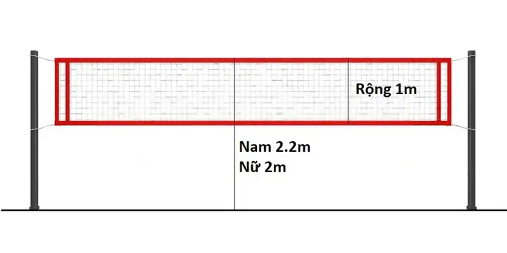 Tiêu Chuẩn Chiều Cao Lưới Bóng Chuyền Nam Và Nữ Mới Nhất 2026 Tiêu Chuẩn Chiều Cao Lưới Bóng Chuyền Nam Và Nữ Mới Nhất 2026