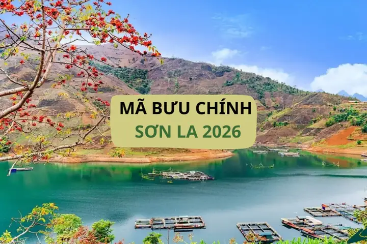 Mã Bưu Chính Sơn La: Cập Nhật Mới Nhất Và Hướng Dẫn Cách Tra Cứu Chính Xác