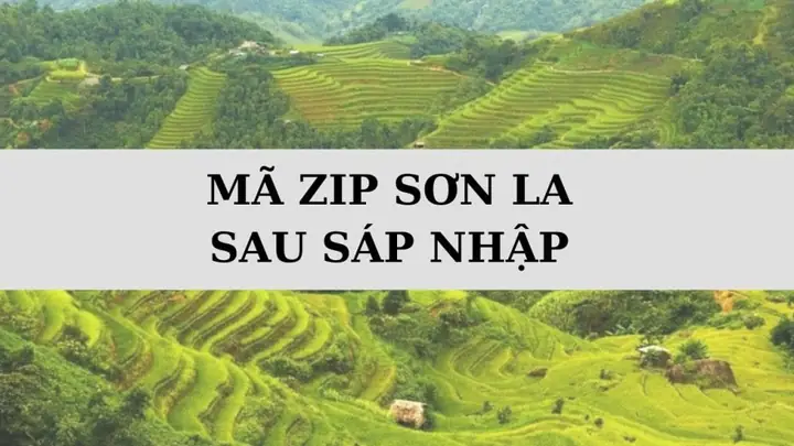 Mã Bưu Chính Sơn La: Cập Nhật Mới Nhất Và Hướng Dẫn Cách Tra Cứu Chính Xác