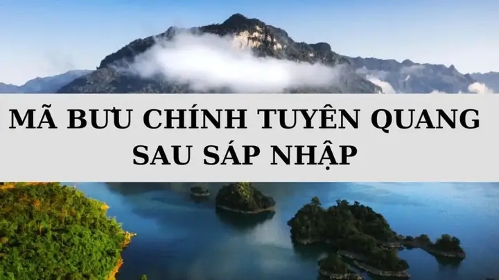 Mã Bưu Chính Tuyên Quang: Danh Sách Tra Cứu Mã Bưu Điện (zip Code) Cập Nhật Mới Nhất Mã Bưu Chính Tuyên Quang: Danh Sách Tra Cứu Mã Bưu Điện (zip Code) Cập Nhật Mới Nhất