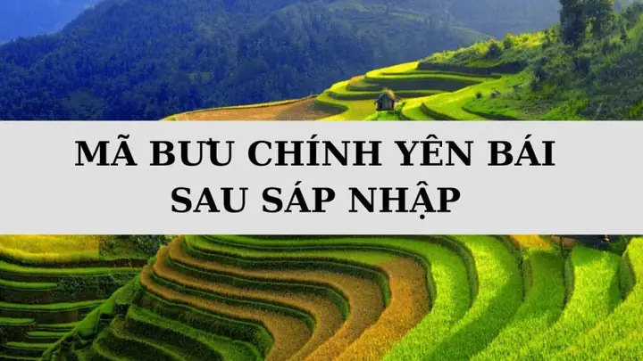 Mã Bưu Chính Yên Bái Mới Nhất: Cập Nhật Danh Mục Zip Code Tỉnh Yên Bái Mã Bưu Chính Yên Bái Mới Nhất: Cập Nhật Danh Mục Zip Code Tỉnh Yên Bái