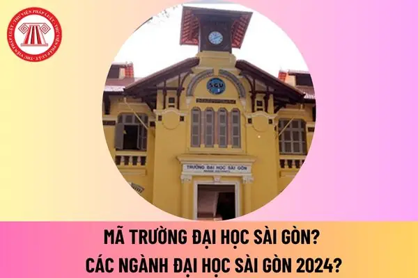 Mã Trường Đại Học Sài Gòn Là Gì Và Thông Tin Tuyển Sinh Mới Nhất Mã Trường Đại Học Sài Gòn Là Gì Và Thông Tin Tuyển Sinh Mới Nhất