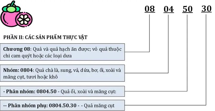 Mã Hs Code Là Gì? Hướng Dẫn Tra Cứu Mã Phân Loại Hàng Hóa Xuất Nhập Khẩu Chính Xác