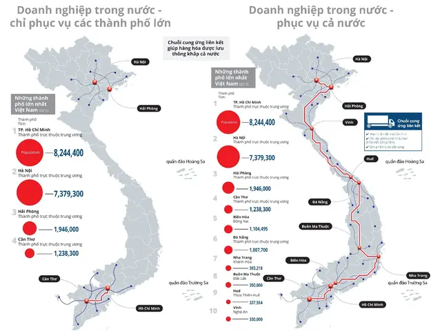 Mạng Lưới Phân Phối Là Gì? Cấu Trúc, Đặc Điểm Và Cách Thiết Kế Tối Ưu Trong Chuỗi Cung Ứng