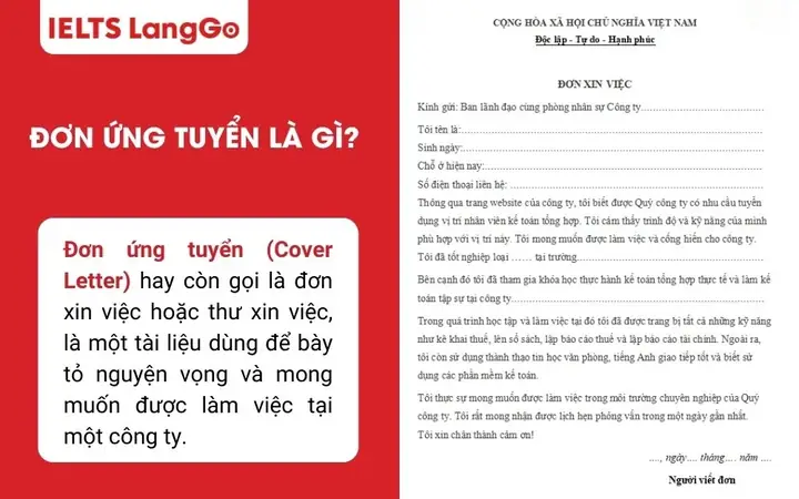 Tổng Hợp Mẫu Đơn Dự Tuyển Chuẩn, Chuyên Nghiệp Và Cách Viết Mới Nhất 2026 Tổng Hợp Mẫu Đơn Dự Tuyển Chuẩn, Chuyên Nghiệp Và Cách Viết Mới Nhất 2026