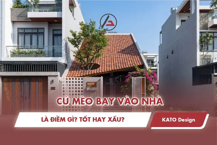 Mèo Ỉa Trong Nhà Điềm Báo Gì Mèo Ỉa Trong Nhà Điềm Báo Gì
