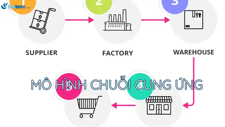 Mô Hình Chuỗi Cung Ứng Là Gì? Tổng Hợp 6 Mô Hình Quản Lý Phổ Biến Nhất Hiện Nay Mô Hình Chuỗi Cung Ứng Là Gì? Tổng Hợp 6 Mô Hình Quản Lý Phổ Biến Nhất Hiện Nay