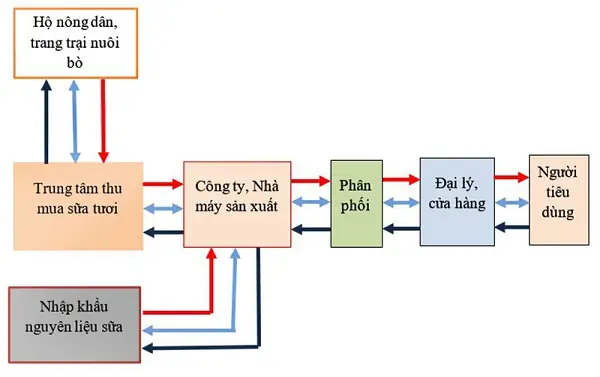 Mô Hình Chuỗi Cung Ứng Là Gì? Tổng Hợp 6 Mô Hình Quản Lý Phổ Biến Nhất Hiện Nay Mô Hình Chuỗi Cung Ứng Là Gì? Tổng Hợp 6 Mô Hình Quản Lý Phổ Biến Nhất Hiện Nay