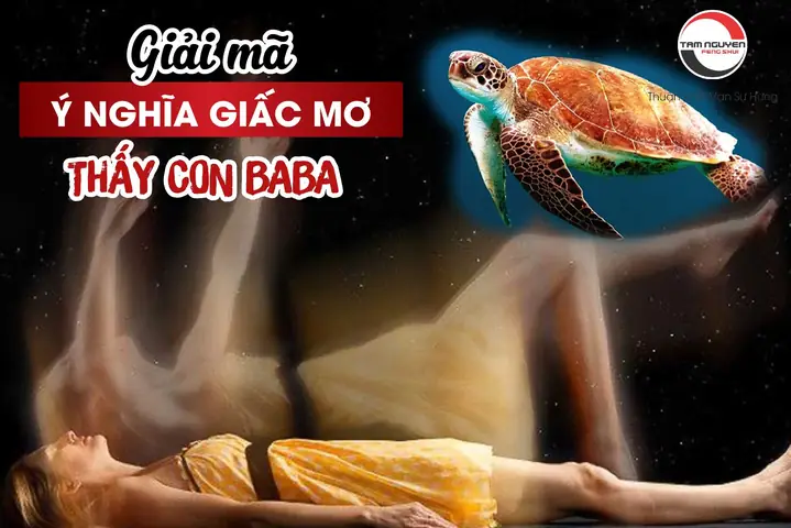 Mơ Làm Thịt Ba Ba Đánh Con Gì Mơ Làm Thịt Ba Ba Đánh Con Gì