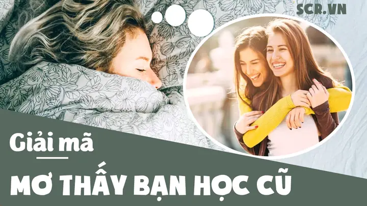 Mơ Thấy Bạn Học Cũ Lâu Ngày Không Gặp Mơ Thấy Bạn Học Cũ Lâu Ngày Không Gặp