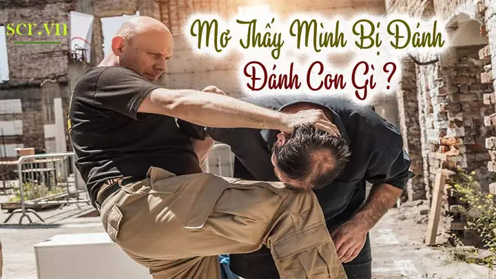 Mơ Thấy Bị Cưỡng Bức Đánh Số Gì? Giải Mã Điềm Báo Và Con Số May Mắn 84-92