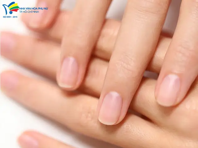Mơ Thấy Cắt Móng Tay Cho Người Khác: Giải Mã Ý Nghĩa, Điềm Báo Và Con Số May Mắn
