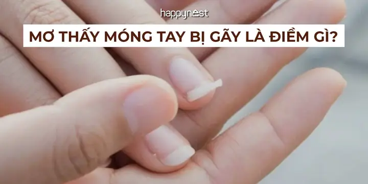 Mơ Thấy Cắt Móng Tay Cho Người Khác: Giải Mã Ý Nghĩa, Điềm Báo Và Con Số May Mắn