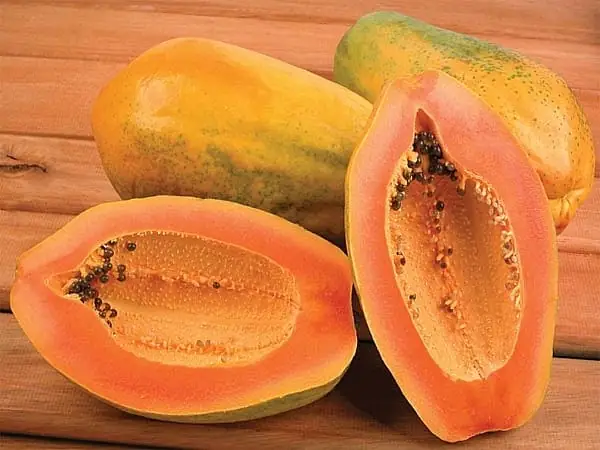 Mơ Thấy Cây Đu Đủ Đánh Con Gì Mơ Thấy Cây Đu Đủ Đánh Con Gì