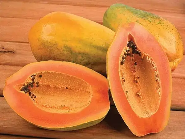 Mơ Thấy Cây Đu Đủ Đánh Con Gì Mơ Thấy Cây Đu Đủ Đánh Con Gì