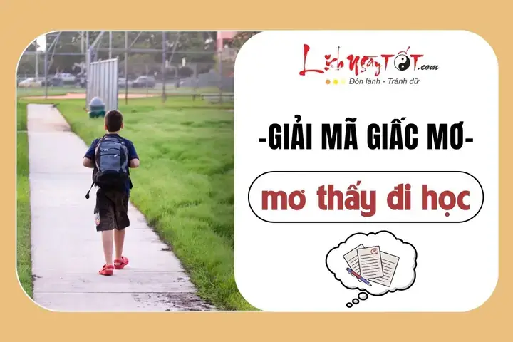 Giải Mã Tại Sao Người Trưởng Thành Vẫn Mơ Thấy Đi Học – Ý Nghĩa Tâm Lý Và Điềm Báo