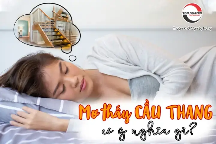 Mơ Thấy Đi Xuống Cầu Thang Đánh Con Gì Mơ Thấy Đi Xuống Cầu Thang Đánh Con Gì