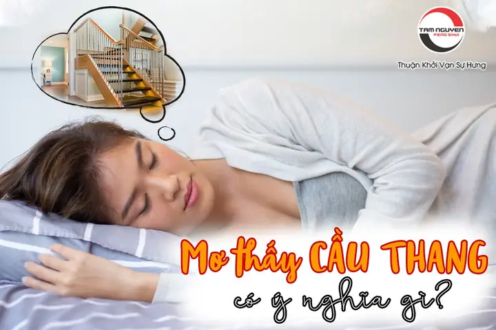 Mơ Thấy Đi Xuống Cầu Thang Đánh Con Gì Mơ Thấy Đi Xuống Cầu Thang Đánh Con Gì