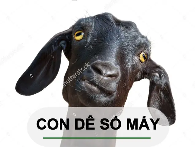 Nằm Mơ Thấy Em Dâu Đánh Đề Con Gì? Giải Mã Chi Tiết Các Con Số May Mắn Và Điềm Báo Nằm Mơ Thấy Em Dâu Đánh Đề Con Gì? Giải Mã Chi Tiết Các Con Số May Mắn Và Điềm Báo