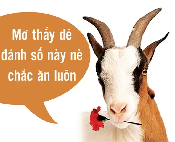 Nằm Mơ Thấy Em Dâu Đánh Đề Con Gì? Giải Mã Chi Tiết Các Con Số May Mắn Và Điềm Báo Nằm Mơ Thấy Em Dâu Đánh Đề Con Gì? Giải Mã Chi Tiết Các Con Số May Mắn Và Điềm Báo