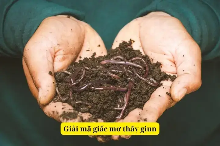 Giải Mã Giấc Mơ Thấy Giun Sán Trong Người Chui Ra: Điềm Báo Gì Và Có Liên Quan Sức Khỏe Không? Giải Mã Giấc Mơ Thấy Giun Sán Trong Người Chui Ra: Điềm Báo Gì Và Có Liên Quan Sức Khỏe Không?