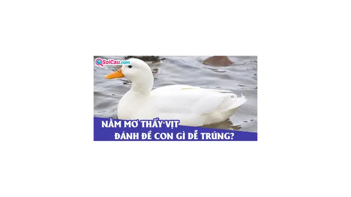 Mơ Thấy Làm Thịt Vịt Đánh Con Gì? Ý Nghĩa, Dự Đoán Và Con Số May Mắn Mơ Thấy Làm Thịt Vịt Đánh Con Gì? Ý Nghĩa, Dự Đoán Và Con Số May Mắn