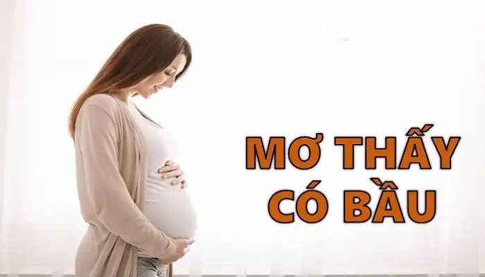 Mơ Thấy Mình Có Bầu Là Điềm Báo Gì Mơ Thấy Mình Có Bầu Là Điềm Báo Gì