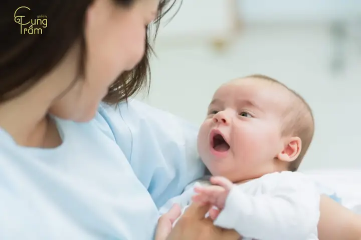 Mơ Thấy Mình Đẻ Rớt Là Điềm Báo Gì Mơ Thấy Mình Đẻ Rớt Là Điềm Báo Gì