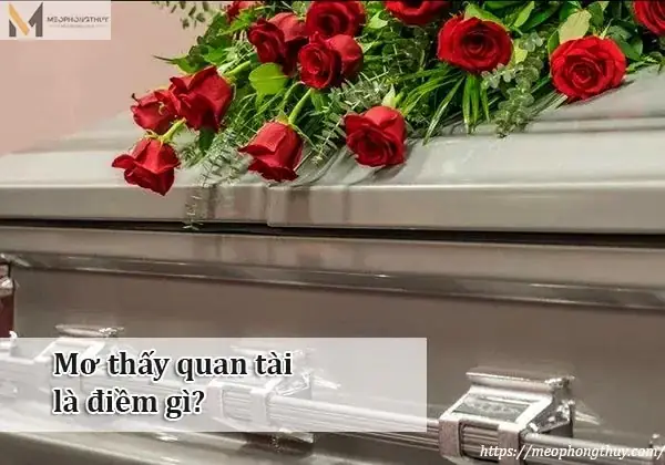 Mơ Thấy Nhiều Con Vật Đánh Con Gì