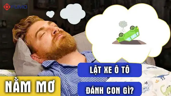 Mơ Thấy Rau Khoai Lang Đánh Con Gì