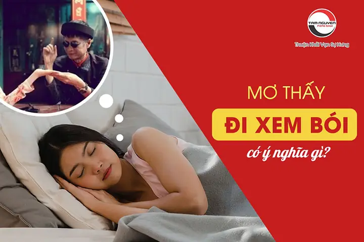 Mơ Thấy Thầy Bói Xem Bói Cho Mình Mơ Thấy Thầy Bói Xem Bói Cho Mình