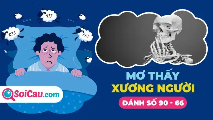 Giải Đánh Đề: Mơ Thấy Xương Cốt Nên Chọn Số Nào? Hướng Dẫn Chi Tiết Cho Người Tin Giấc Mơ Giải Đánh Đề: Mơ Thấy Xương Cốt Nên Chọn Số Nào? Hướng Dẫn Chi Tiết Cho Người Tin Giấc Mơ
